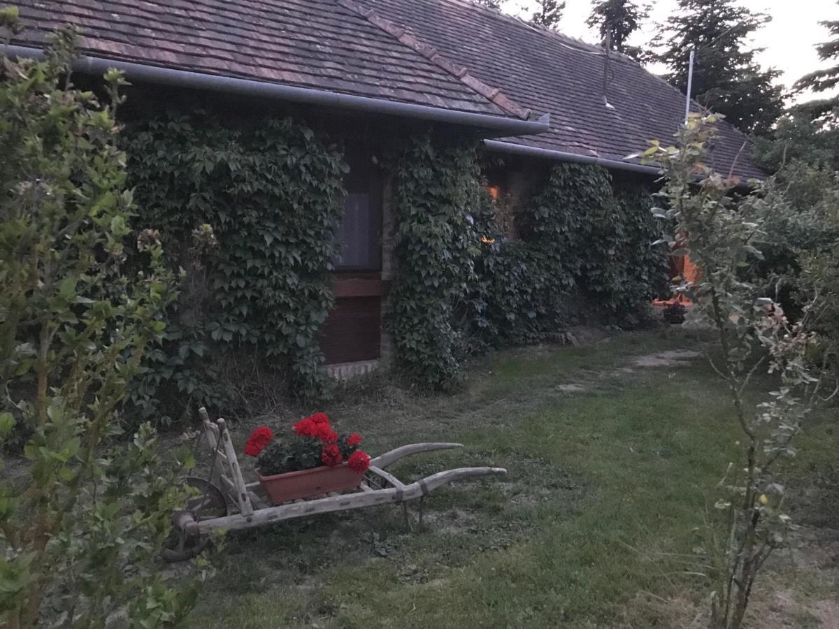 Vadszolos Porta Ispank Bagian luar foto
